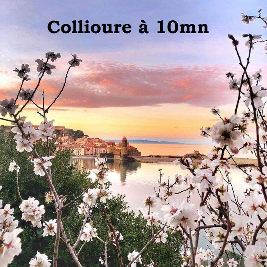 Maison Small Luxury Argelès-sur-Mer Zewnętrze zdjęcie